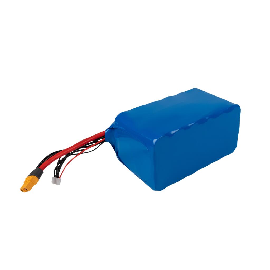Акумулятор Li-ion 22,2V 12600 mAh (279,7Wh) 135A Molicel Високострумовий 6S3P - Зображення 2