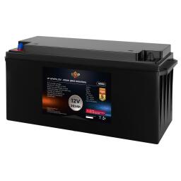 Аккумулятор LP LiFePO4 12V (12,8V) - 202 Ah (2586Wh) (BMS 100A/50A) пластик