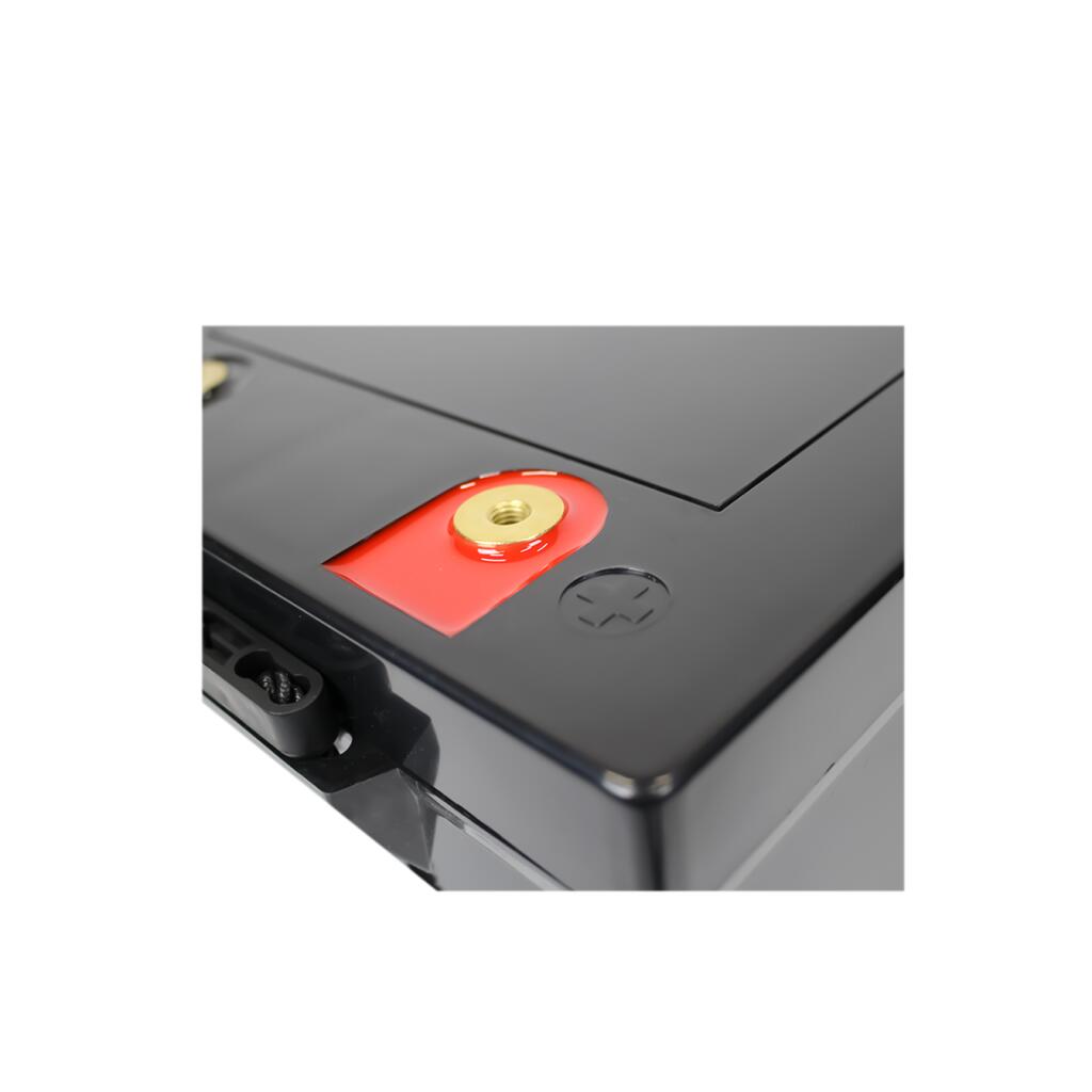 Акумулятор LP LiFePO4 для ДБЖ 12V (12,8V) - 404 Ah (5171Wh) (BMS 100A/50A) пластик - Зображення 5