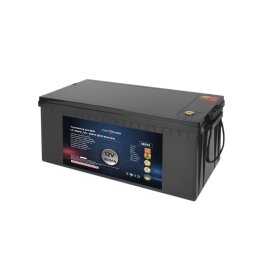 Аккумулятор LP LiFePO4 для ИБП 12V - 300 Ah (BMS 80A/40А) пластик