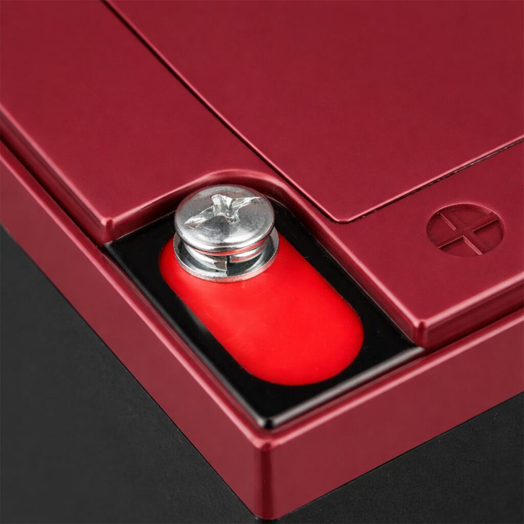 Тяговый свинцово-кислотный AGM аккумулятор LP 6-DZM-12 Ah - под Болт М5 - Изображение 5