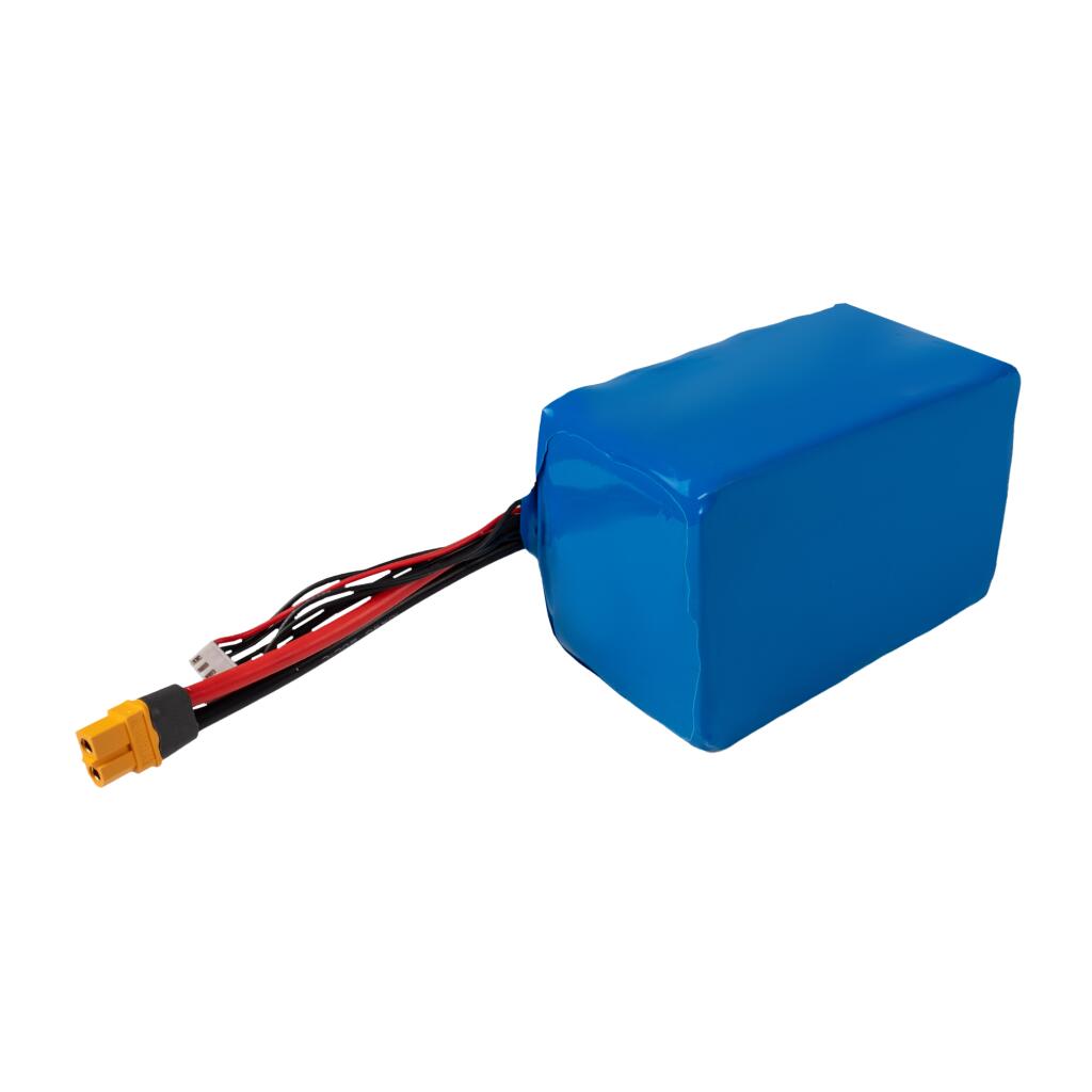 Акумулятор Li-ion 22,2V 16800 mAh (373Wh) 180A Molicel Високострумовий 6S4P - Зображення 2