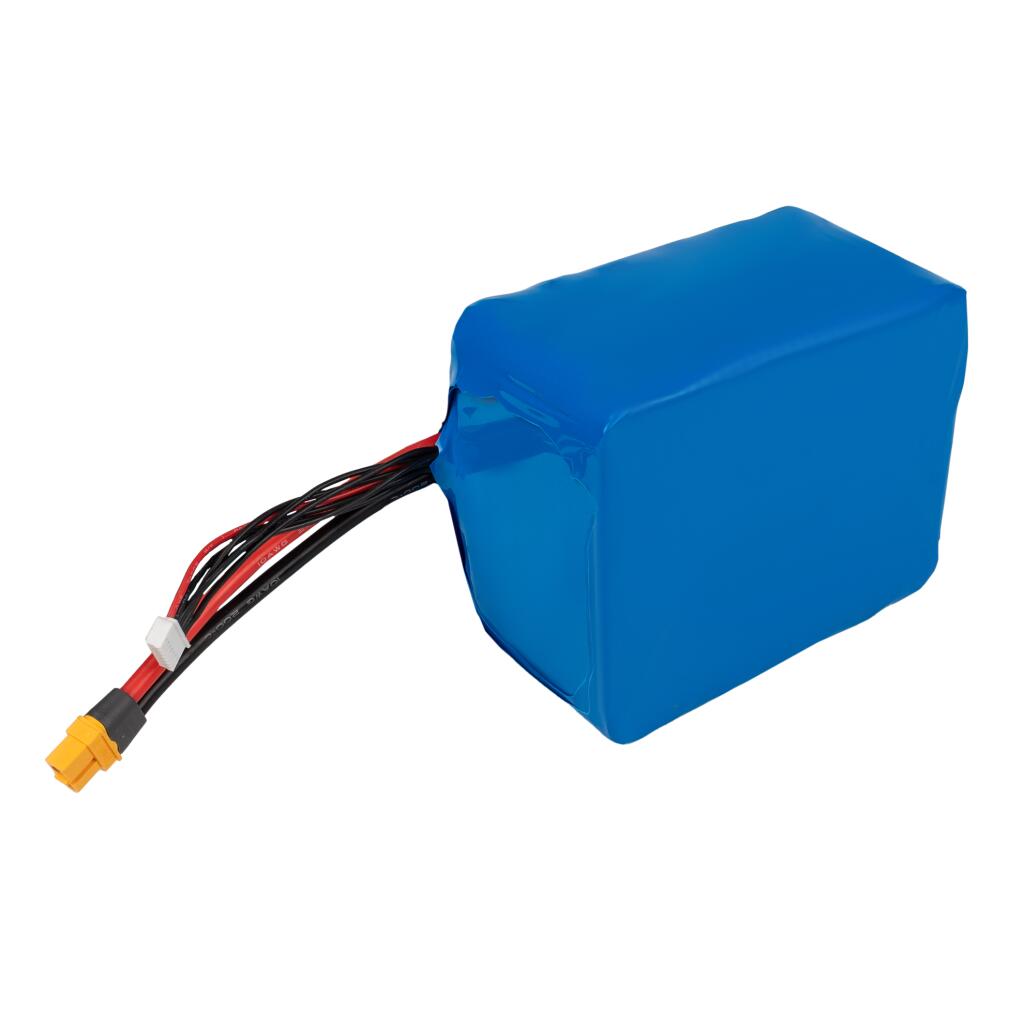 Акумулятор Li-ion 22,2V 21000 mAh (466Wh) 225A Molicel Високострумовий 6S5P - Зображення 3