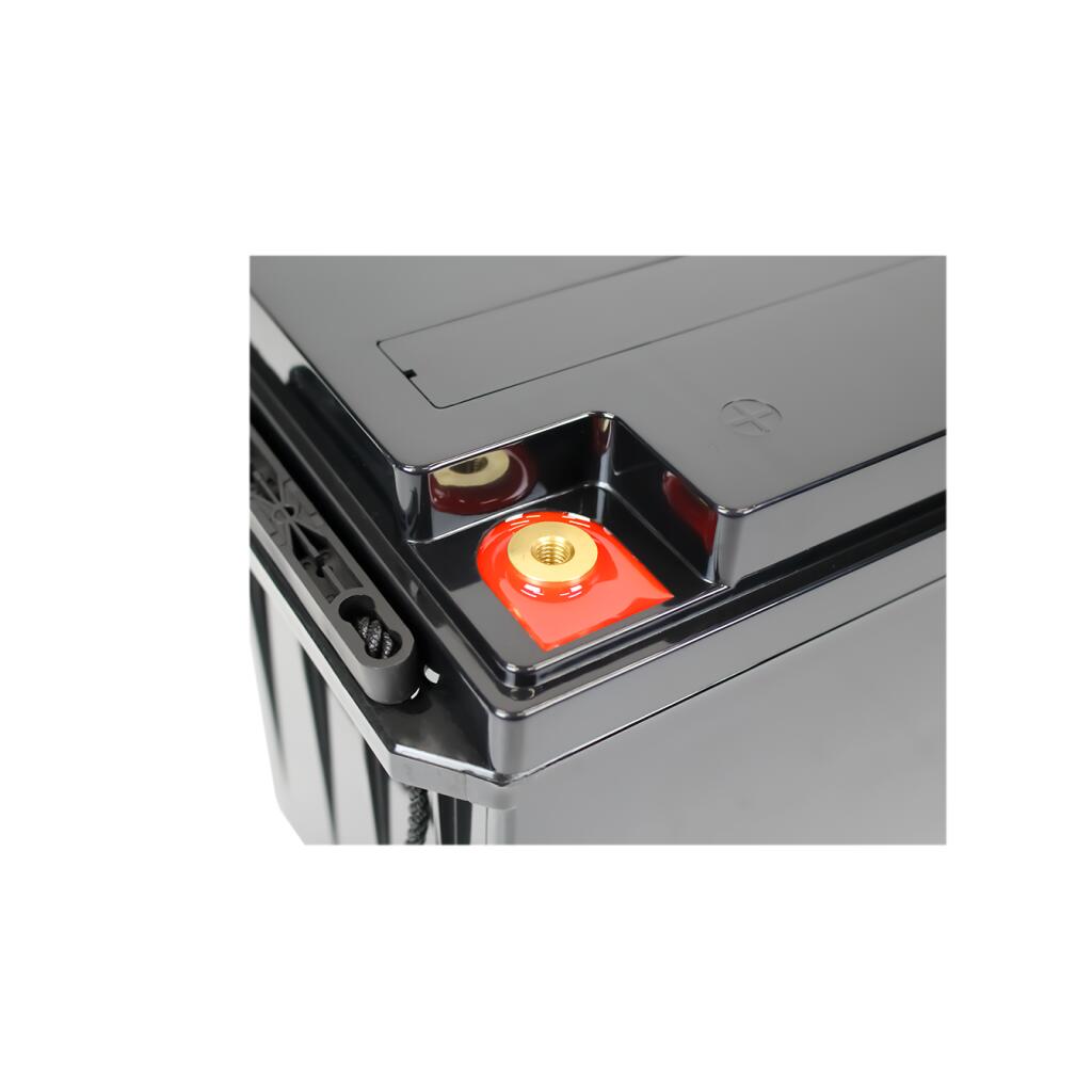 Аккумулятор LP LiFePO4 для ИБП 24V - 100 Ah (BMS 60A/30А) пластик - Изображение 3
