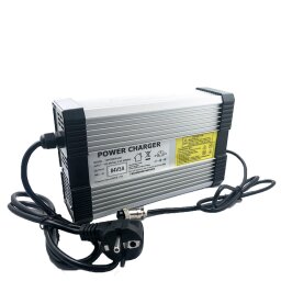 Зарядний пристрій для акумуляторів LiFePO4 36V (43.2V)-9A-324W null