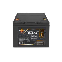 Акумулятор LP LiFePO4 12,8V - 60 Ah (768Wh) (BMS 80A/40А) пластик LCD для ДБЖ null